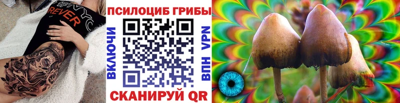 даркнет сайт  mega ссылки  Галлюциногенные грибы Cubensis  Хвалынск 